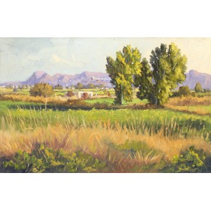 Tahir Bilal Ummi, 20 x 30 Inch, Oil on Canvas, Landscape Painting, AC-TBL-009